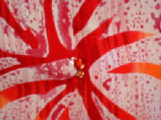 closeupsequins.jpg
