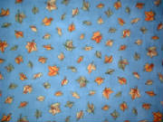 dscf0027.jpg