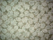 sdscf0023.jpg